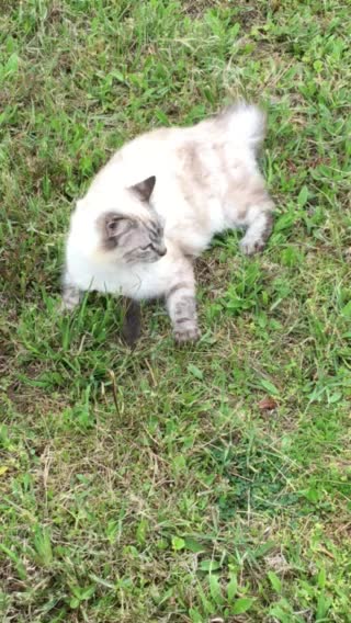 This is so much fun 🐭