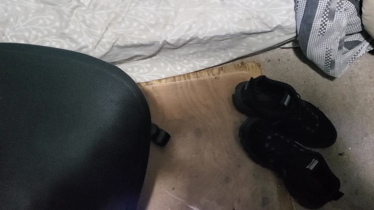 Weigh-In Aug 16, 2023