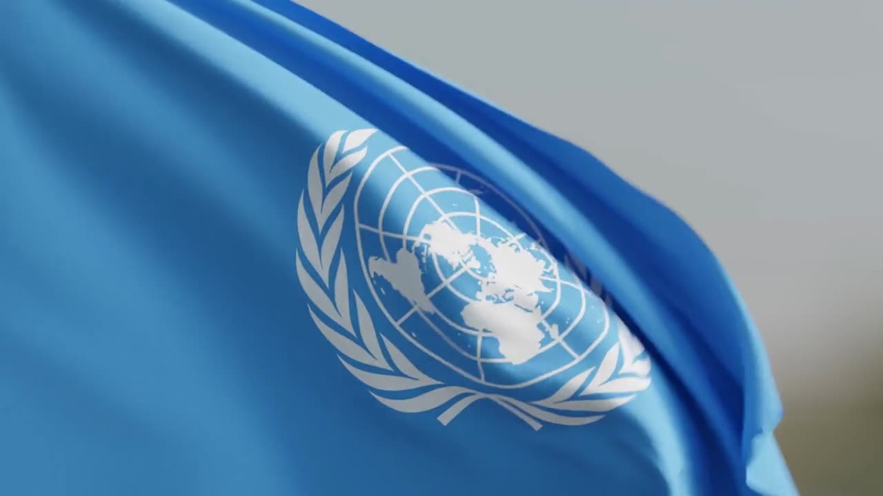 “The Core Mission of the United Nations is Neglected” - Video Summary