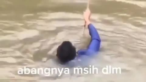 This is a beautiful and charming water-dwelling species