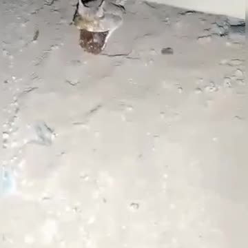 Entertainment video 😱