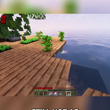 Discover the Hidden Treasures of the Underwater Jungle!