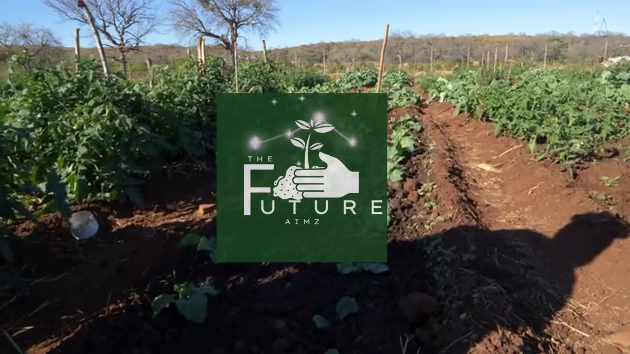 AIMZ - A STEP INTO THE FUTURE OF AGRICULTURE