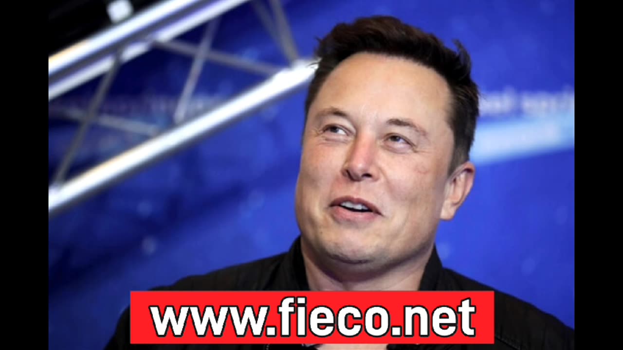 Elon MUSK (X) Pavel DUROV (Telegram) GETTANO la SPUGNA