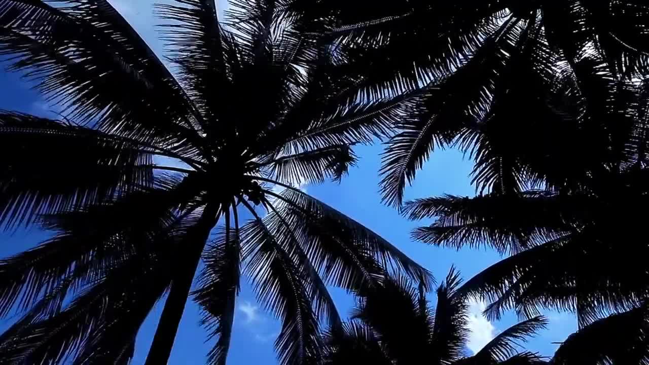 Something to Refresh your Mind