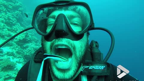 Fish cleans guys teeth