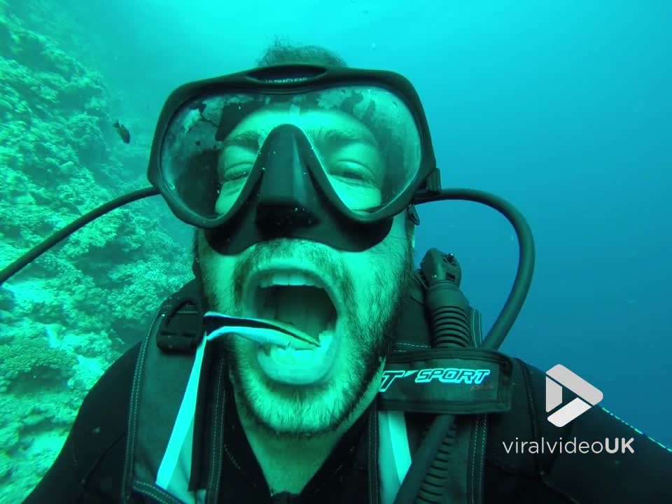 Fish cleans guys teeth