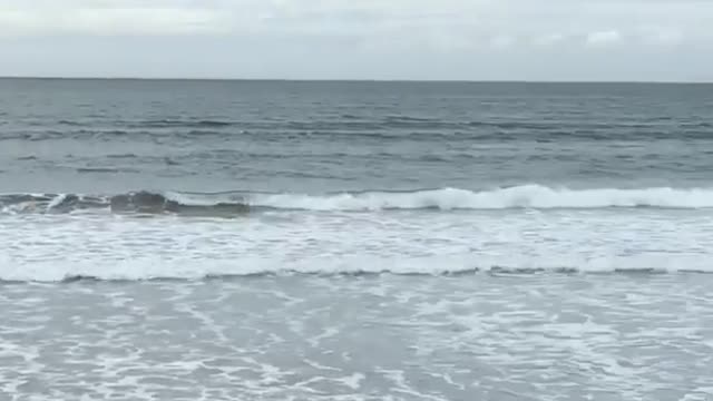 Red surf board turns over man shouts kook of the day