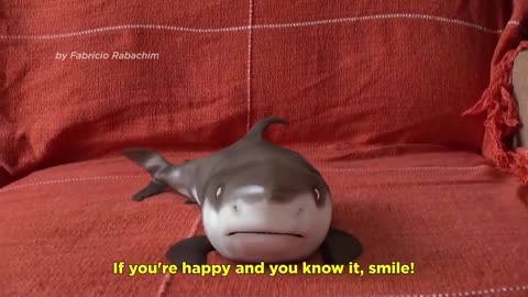 Cutest Baby Shark Video?