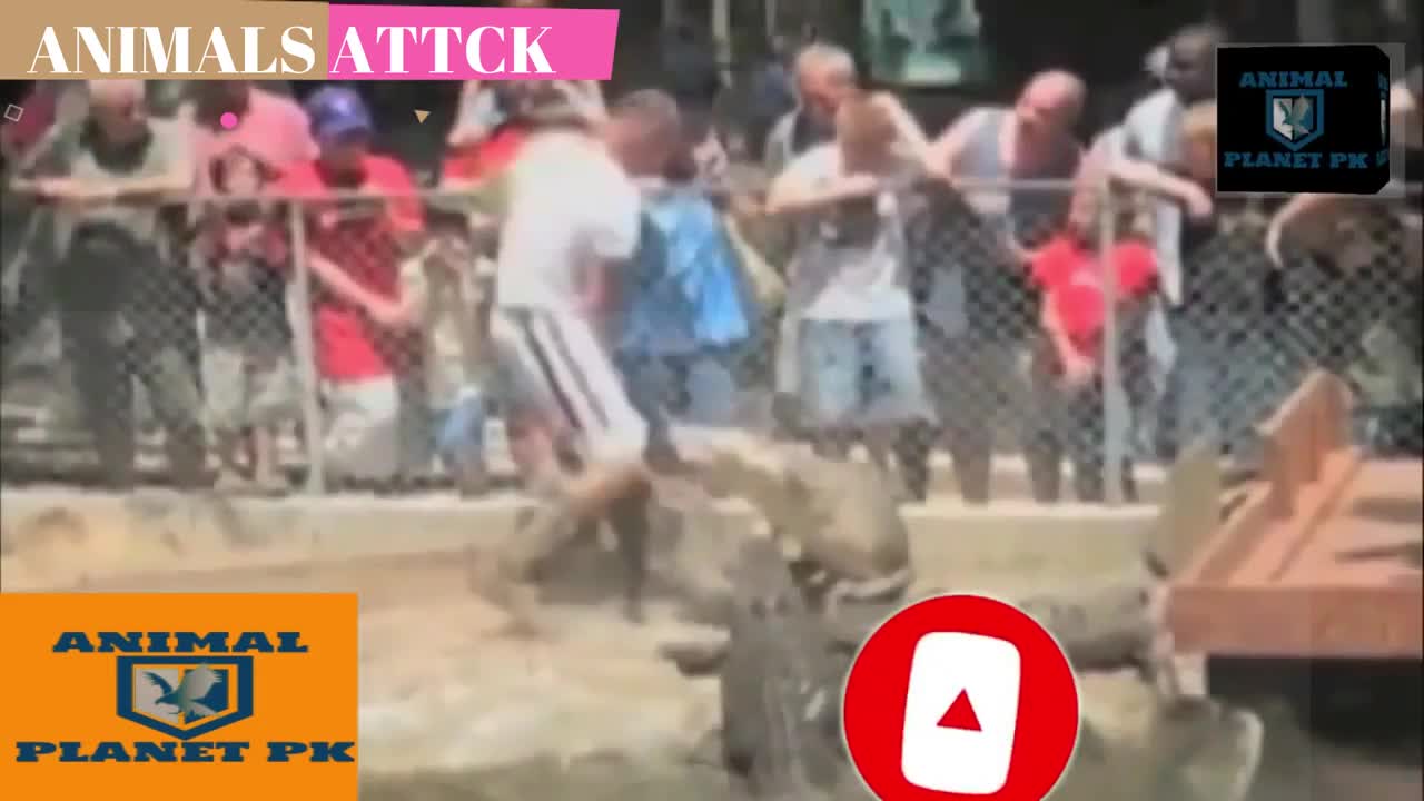 animal attack on human| danger animal| naughty animal| fight