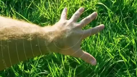 touch some grass