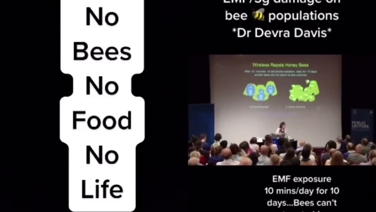 EMF/ 5G damage on bees🐝 populations - Dr Devra Davis