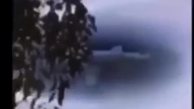 A normal day in 2022