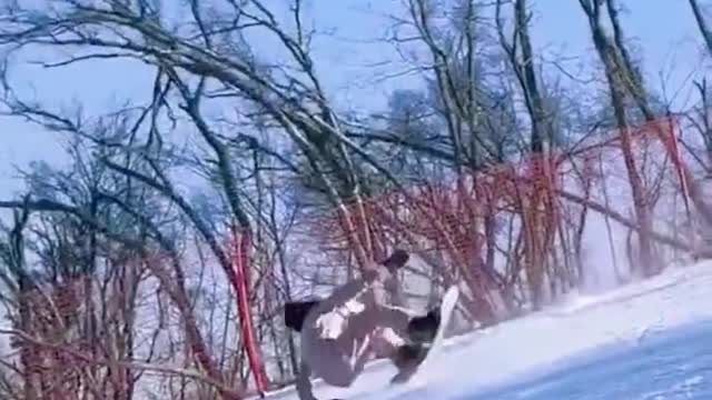 snow mountain skiing