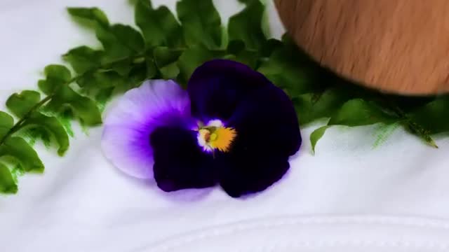 Bright Drawing Hacks And Cool Painting Tricks You Should See