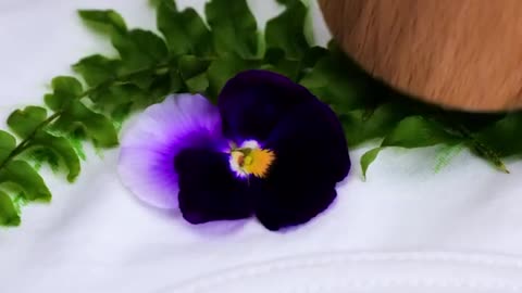 Bright Drawing Hacks And Cool Painting Tricks You Should See