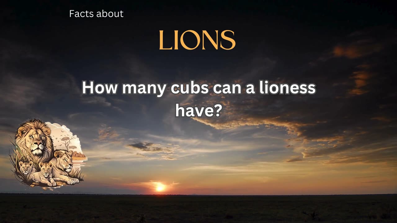 Lion fact 9 - How many cubs can a lioness have?