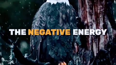 EAGLE USES🔥💯 ~ MOTIVATION