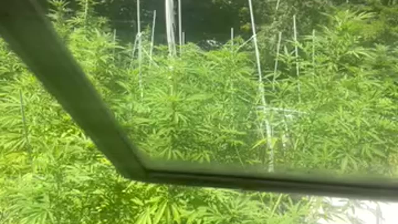 Kamala speaks up & ™️ Walz bites more & more p 08 Derek Hunter rumble