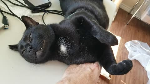 20240910 160334 Tux Coma Face
