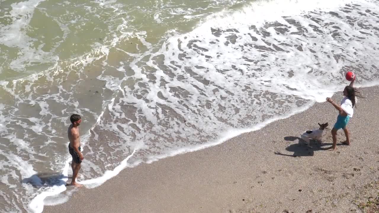 Dog playing in the beach 💙