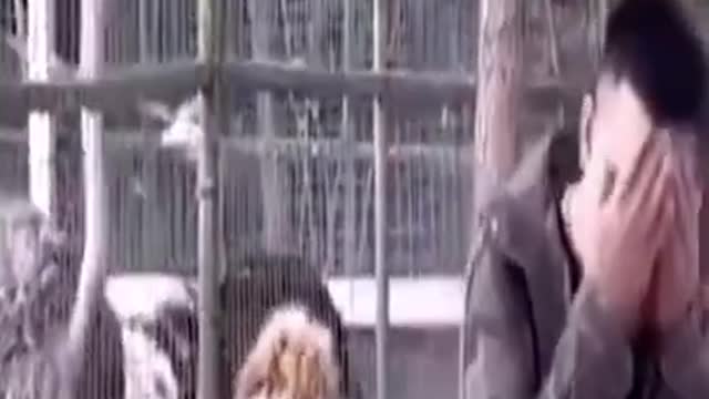 Cute and smart funny animals ☺️