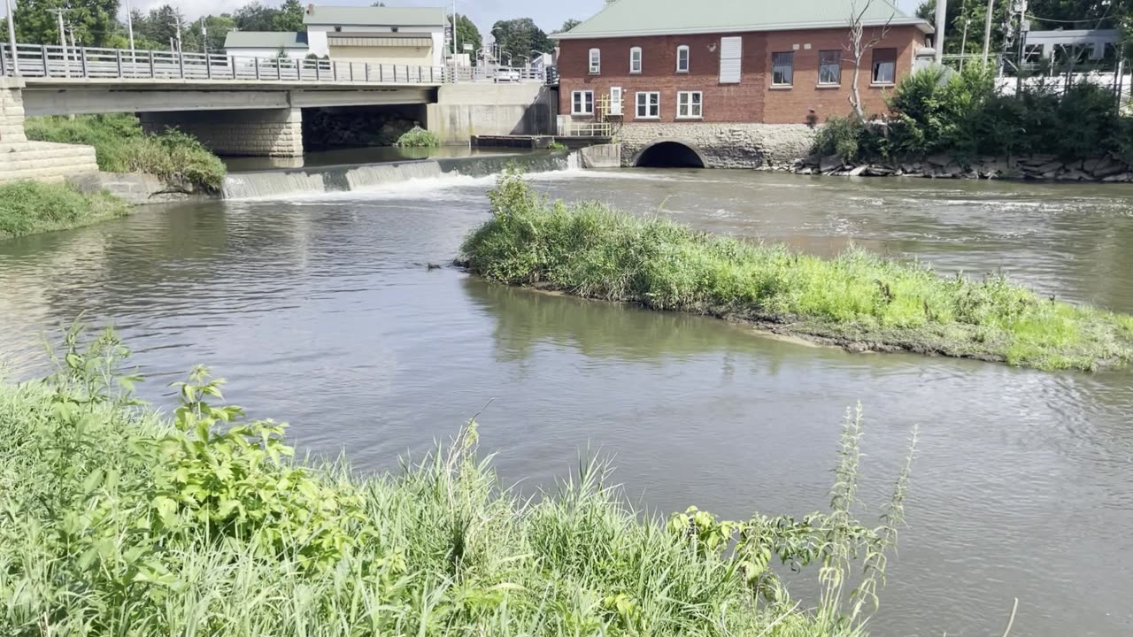 Stock Footage Small Dam 01