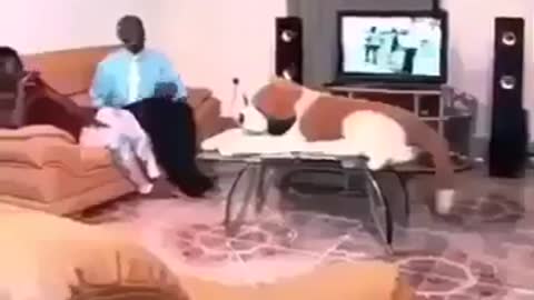 Oh my god omg funny westindies video