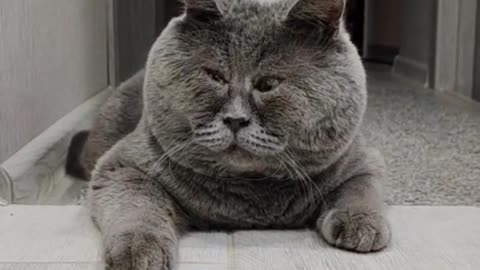 Правильно же говорит😅🫣