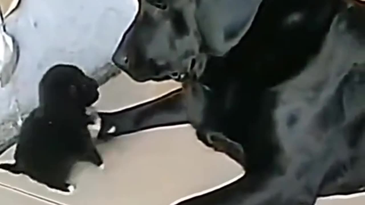 Nice jump😃😃😃😃😃😃