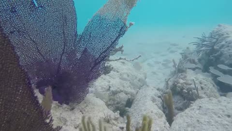 Achilles Bay, Bermuda