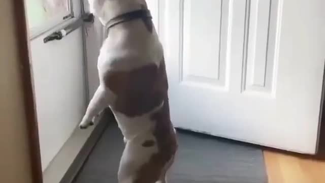 Waiting for pizza man