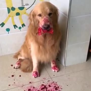 That looks like a crime scene