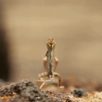 When work is done and it’s time to go home 😂