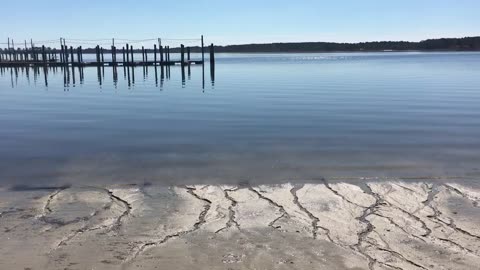 March 3, 2024 - Find Your Beach…