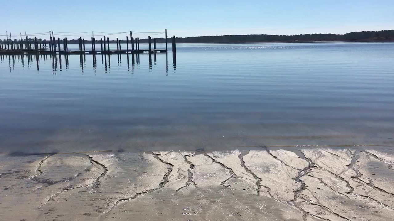 March 3, 2024 - Find Your Beach…