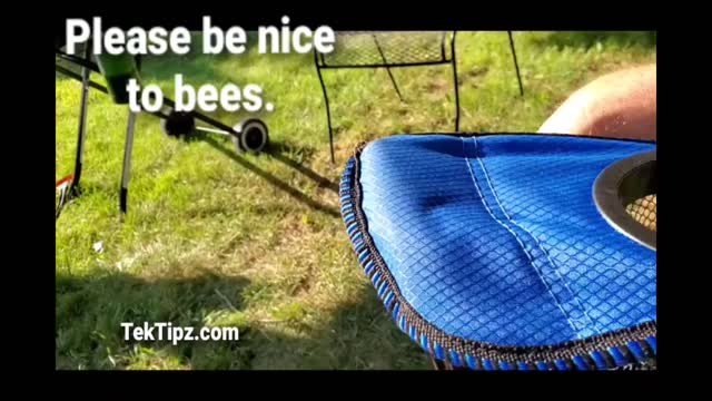 Be nice to bees