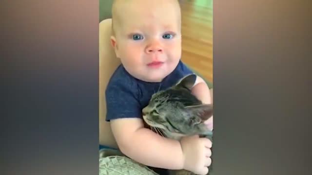 Funny cats and babies playing #1