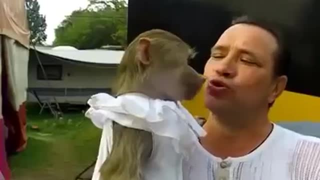 Monkey and Guy Screming funny