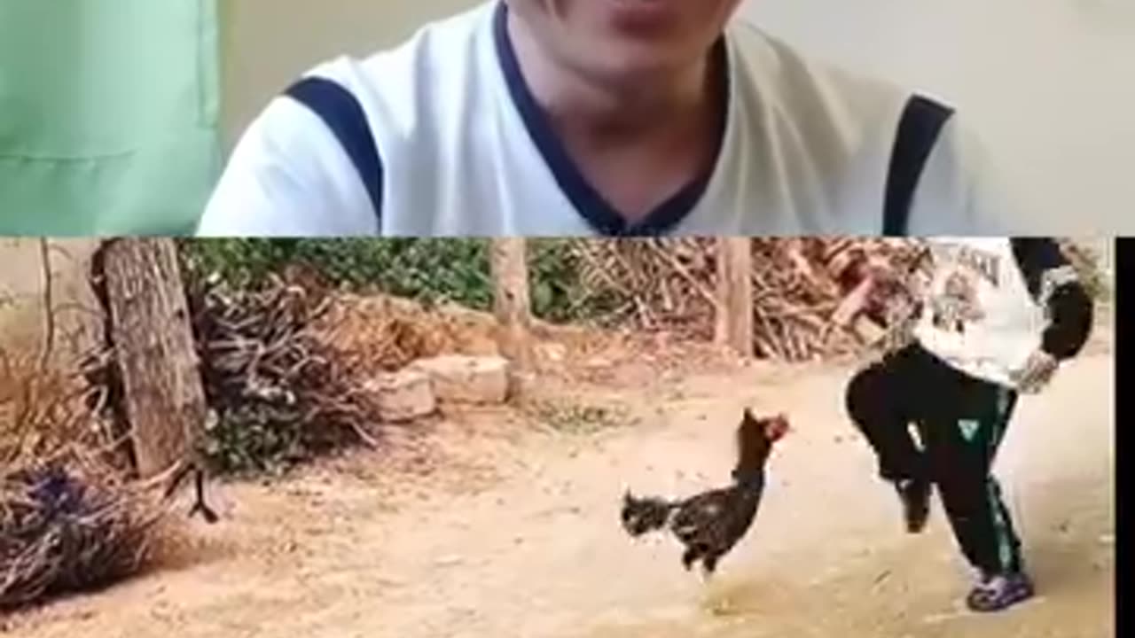 Ninja skill