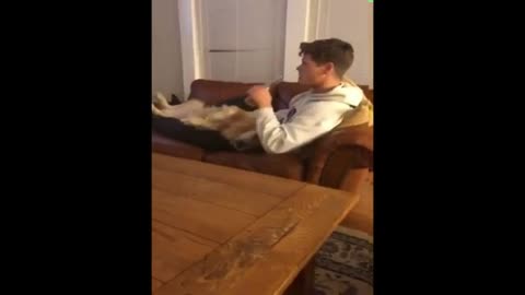 Dog Holds Beer For his Owner