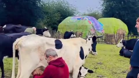 Village life 2