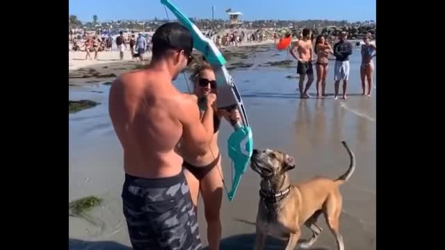 Funniest Animals
