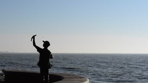 Coast with a statue, birds and sea waves