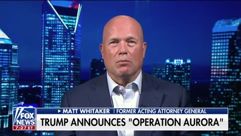 Matt Whitaker: These criminals who are here illegally are 'walking out the back door'