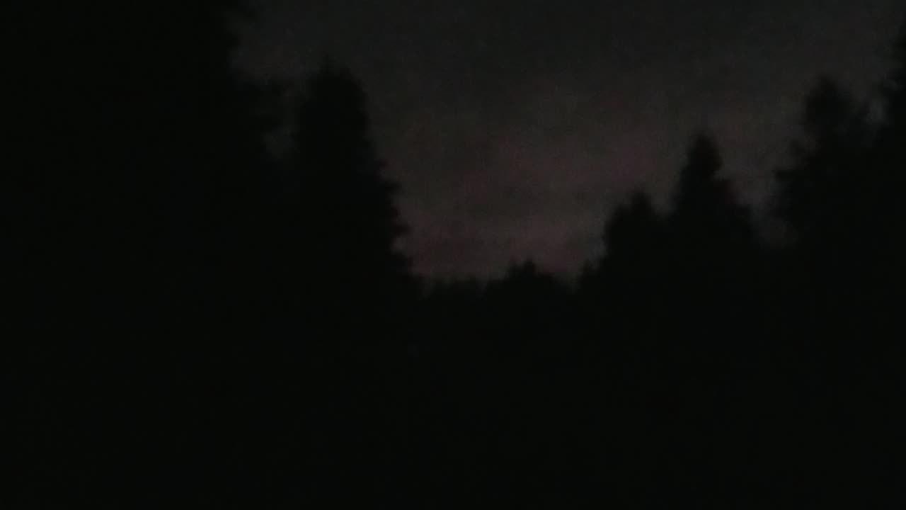 Puppy Mill Doing some 🐶 & 🐓 For there Handlers as they Snitch