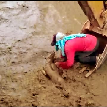 man help dog. #short