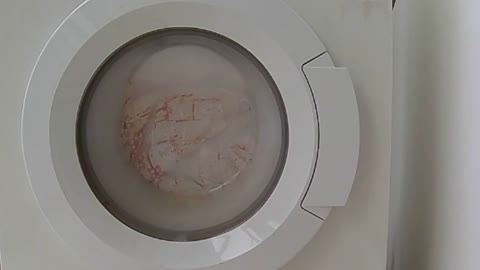 Washing Machine 🌐 (2019-04) {experimental}
