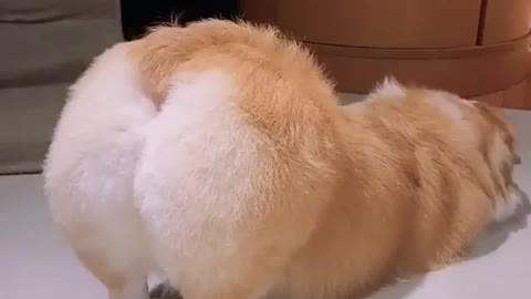 I'm Sexy And I Know It 😁