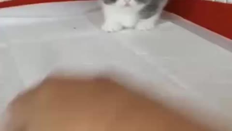 Cute little playing